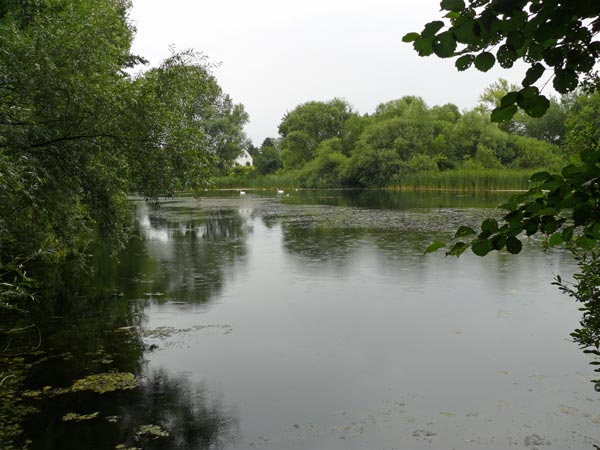 Teich-Ilvese-08