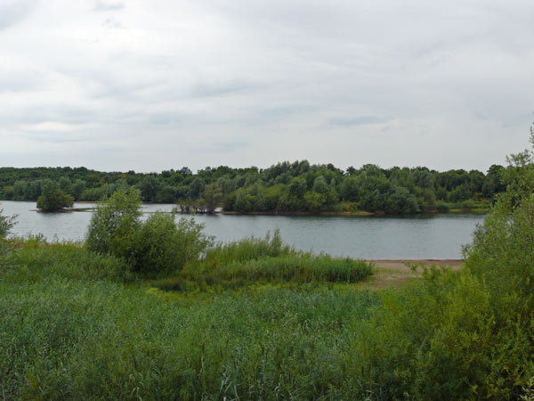 Teich-1-Windheim-07