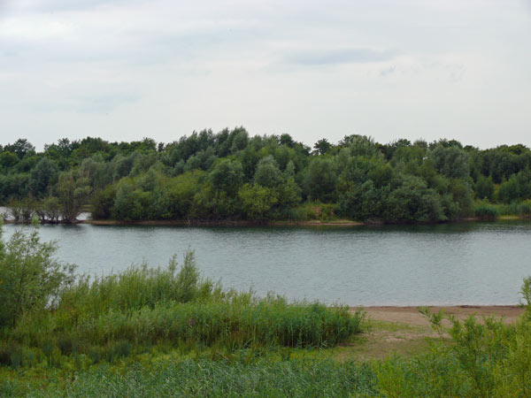 Teich-1-Windheim-08