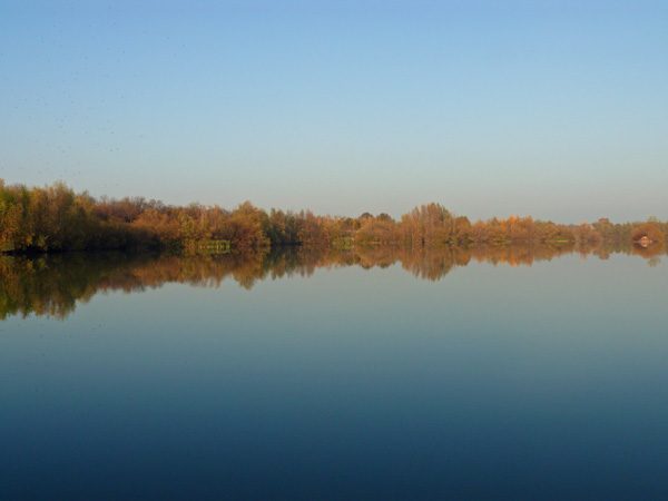 Teich-1-Windheim-11