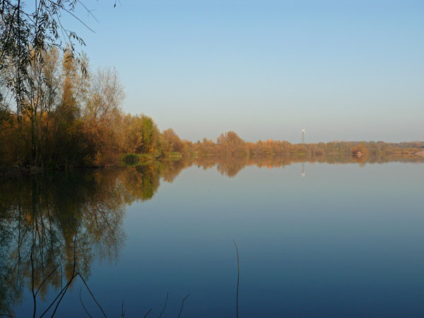 Teich-1-Windheim-12